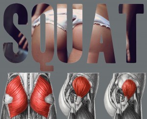 Squat-300x244