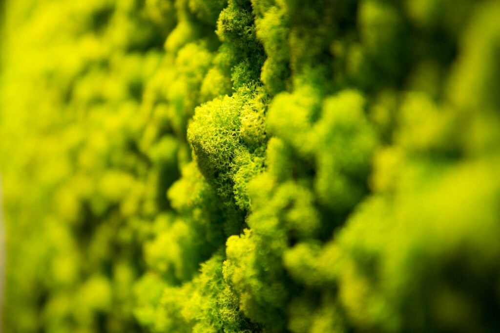 fitcenter-hallein-wellness-mood-01